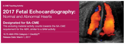 2017 Fetal Echocardiography: Normal and Abnormal Hearts - A Video CME Teaching Activity