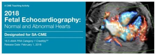 2018 Fetal Echocardiography: Normal and Abnormal Hearts - A Video CME Teaching Activity