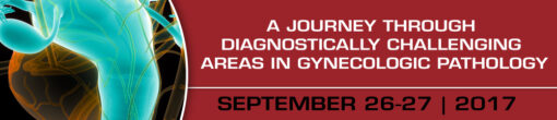 A Journey through Diagnostically Challenging Areas in Gynecologic Pathology