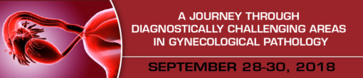 A Journey through Diagnostically Challenging Areas in Gynecologic Pathology