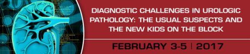 Diagnostic Challenges in Urologic Pathology: The Usual Suspects and The New Kids on the Block