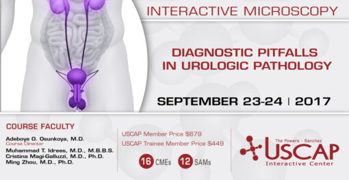 Diagnostic Pitfalls in Urologic Pathology