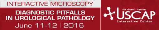 Diagnostic Pitfalls in Urologic Pathology