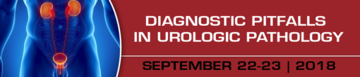 Diagnostic Pitfalls in Urologic Pathology