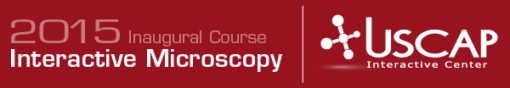 Inaugural Course Interactive Microscopy 