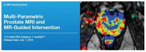 Multi-Parametric Prostate MRI and MR-Guided Intervention - A Video CME Teaching Activity