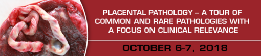 Placental Pathology - A Tour of Common and Rare Pathologies with a Focus on Clinical Relevance