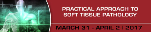 Practical Approach to Soft Tissue Pathology