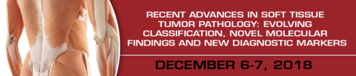 Recent Advances in Soft Tissue Tumor Pathology: Evolving Classification, Novel Molecular Findings and New Diagnostic Markers