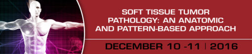 Soft Tissue Tumor Pathology: An Anatomic and Pattern-Based Approach