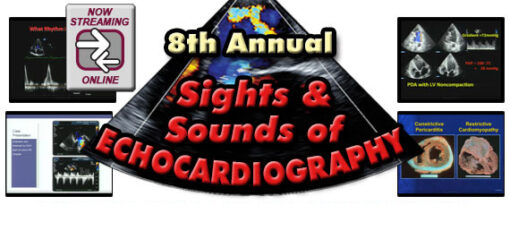 The 8th Annual Sights & Sounds of Echocardiography