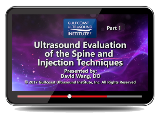 Ultrasound Evaluation of the Spine and Injection Techniques