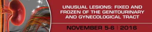 Unusual Lesions: Fixed and Frozen of the Genitourinary and Gynecological Tract