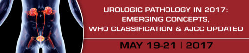 Urologic Pathology in 2017: Emerging Concepts, WHO Classification and AJCC Updated