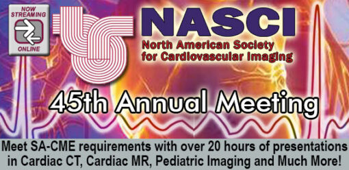 NASCI 45th Annual Meeting (Copy)