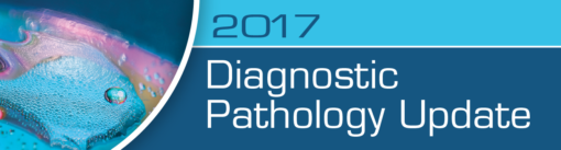 Diagnostic Pathology Update 2017