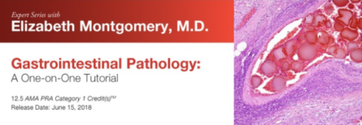 Expert Series with Elizabeth Montgomery, M.D.: Gastrointestinal Pathology: A One-On-One Tutorial - A Video CME Teaching Activity