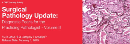 Surgical Pathology Update: Diagnostic Pearls for the Practicing Pathologist: Vol. III