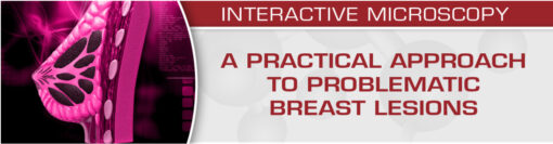 A Practical Approach to Problematic Breast Lesions - 2019