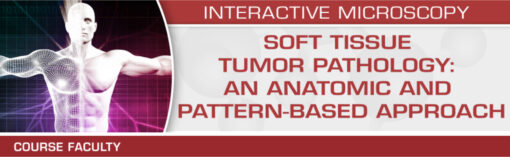 Soft Tissue Tumor Pathology: An Anatomic and Pattern-Based Approach