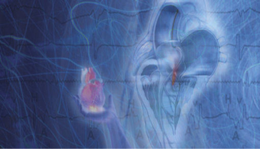 Mayo Clinic Echocardiography Board Review 2018