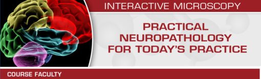 Practical Neuropathology for Today’s Practice