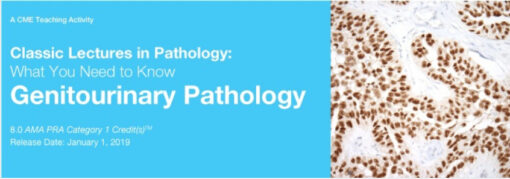 Classic Lectures in Pathology: What You Need to Know: Genitourinary Pathology - A Video CME Teaching Activity 2019