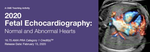 2020 Fetal Echocardiography: Normal and Abnormal Hearts