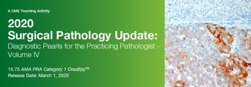 Surgical Pathology Update: Diagnostic Pearls for the Practicing Pathologist, Vol. IV