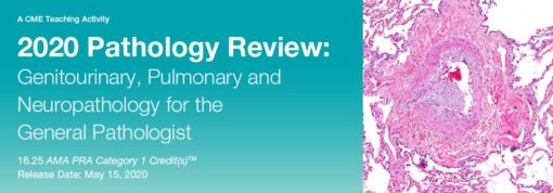 2020 Pathology Review: Genitourinary, Pulmonary and Neuropathology for the General Pathologist