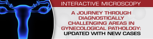 A Journey Through Diagnostically Challenging Areas in Gynecologic Pathology: Updated with New Cases