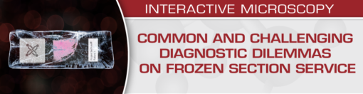 Common and Challenging Diagnostic Dilemmas on Frozen Section Service