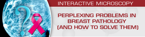 Perplexing Problems in Breast Pathology (and How to Solve them)