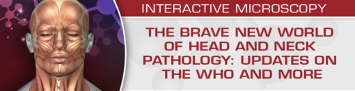 The Brave New World of Head and Neck Pathology: Updates on the WHO and More