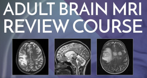 Adult Brain MRI Review Course – Online