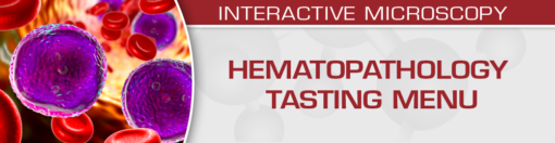 Hematopathology Tasting Menu: A Sampling of Delightful Diagnostic Challenges 2021