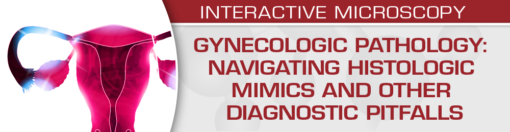 Gynecologic Pathology: Navigating Histologic Mimics and Other Diagnostic Pitfalls 2021