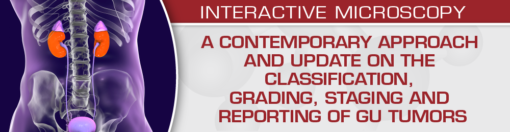 A Contemporary Approach and Update on the Classification, Grading, Staging and Reporting of GU Tumors 2021