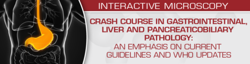 Crash Course in Gastrointestinal, Liver and Pancreaticobiliary Pathology: An Emphasis on Current Guidelines and WHO Updates 2022