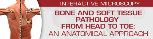 Bone and Soft Tissue Pathology from Head to Toe: An Anatomical Approach 2022