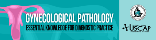 Gynecological Pathology: Essential Knowledge for Diagnostic Practice 2022