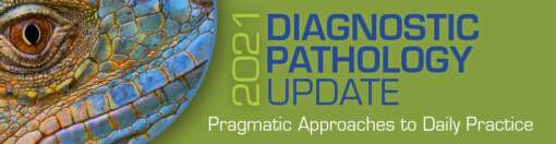 2021 Diagnostic Pathology Update: Pragmatic Approaches to Daily Practice