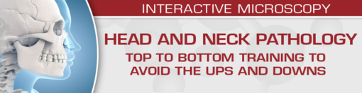 Head and Neck Pathology: Top to Bottom Training to Avoid the Ups and Downs 2022