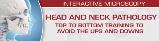 USCAP Head and Neck Pathology: Top to Bottom Training to Avoid the Ups and Downs 2022