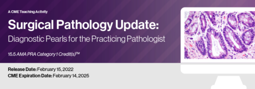 Surgical Pathology Update: Diagnostic Pearls for the Practicing Pathologist - Vol. VI 2022