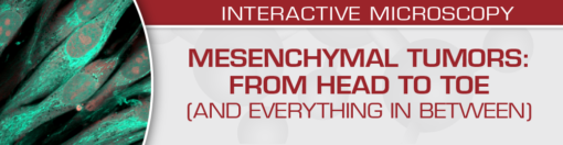 Mesenchymal Tumors: From Head to Toe (and Everything in Between) 2022