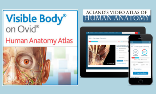 Acland’s Video Atlas of Human Anatomy – One year