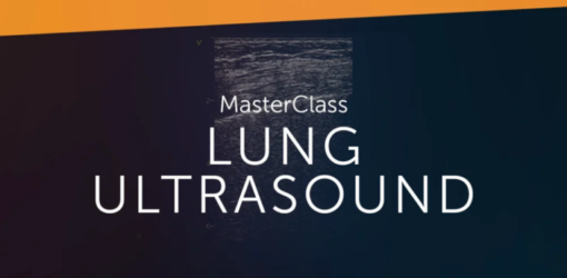 123Sonography Lung Ultrasound MasterClass 2020 (CME VIDEOS)