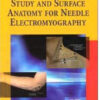 Manual of Nerve Conduction Study and Surface Anatomy for Needle Electromyography / Edition 4