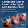 A Diagnostic Atlas of Tumors of the Upper Aero-Digestive Tract: A Transnasal Video Endoscopic Approach